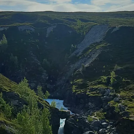ホテル Billingen Seterpensjonat Skjåk